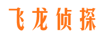 秦安捉小三公司